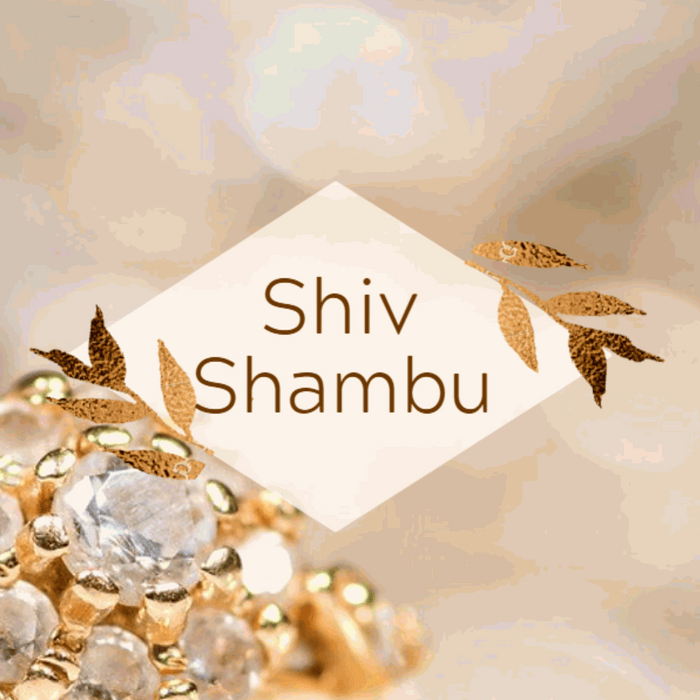 Shiv Shambu, New York