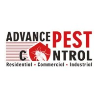 Advance Pest Control, Surrey BC Advance Pest Control, Surrey BC