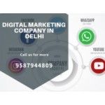 Digital Socialite | Digital Marketing Agency Jaipur, Rajasthan, logo