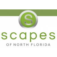 Scapes of North Florida, Orange Park Scapes of North Florida, Orange Park