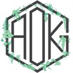 AOK Group, New York, logo