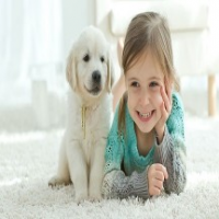 Melbourne Carpet And Tile Cleaning, Cranbourne East VIC Melbourne Carpet And Tile Cleaning, Cranbourne East VIC