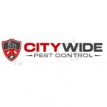 City Wide Rodent Control Sydney, Sydney, logo