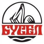 Busel, Vyshneve, Kyiv region, logo