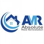 Absolute Mold Remediation Ltd., Toronto, logo