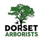 Dorset Arborists, Poole BH12 4EL, logo