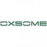 Oxsome Web Services, Bloomington, logo