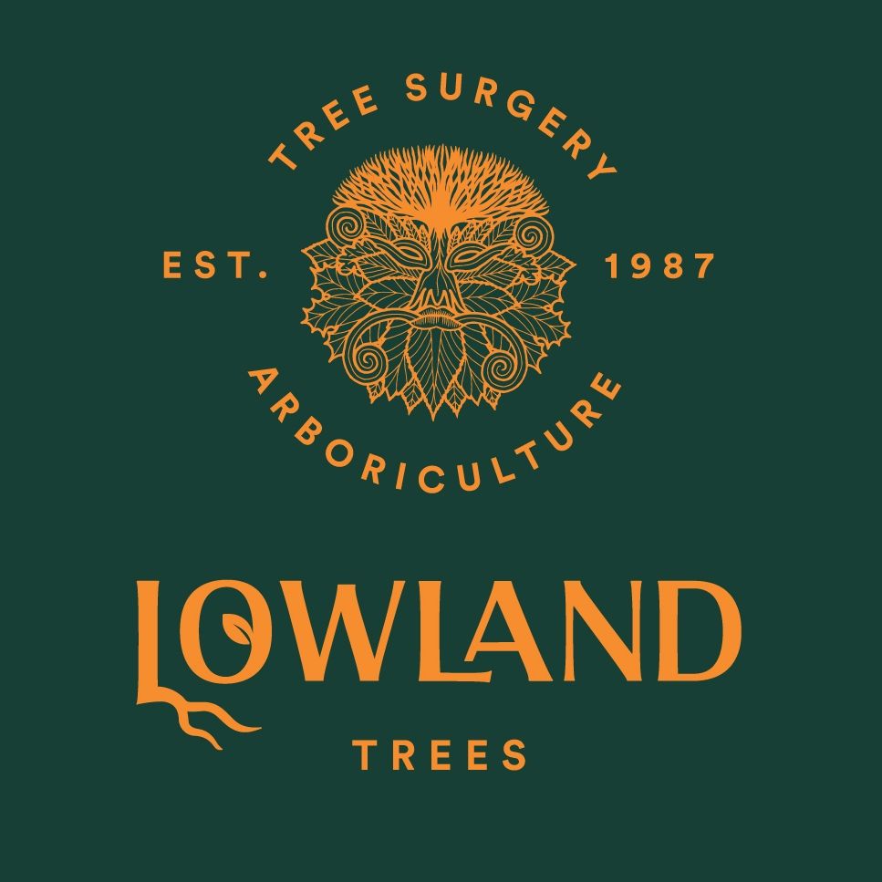 Lowland Trees, Falkirk
