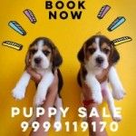 puppy sale [dog sale], new delhi, logo