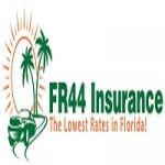 SR22 FR44, Miami, logo
