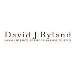 David J Ryland FCCA, Surrey, logo