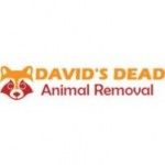 David's Dead Animal Removal, Brisbane City, logo