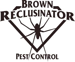 Brown Reclusinator Pest Control, Wichita, KS