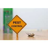 Frontline Pest Control Adelaide, Adelaide Frontline Pest Control Adelaide, Adelaide