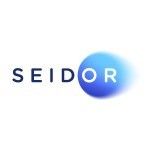 Seidor Maroc, Casablanca, logo
