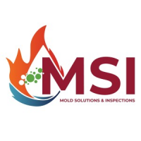 Mold Solutions & Inspections, Folcroft Mold Solutions & Inspections, Folcroft
