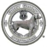 Grey Ghost – Private Investigator Miami, Miami, logo