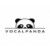 Vocal Panda company-title