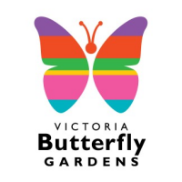 Victoria Butterfly Gardens, Brentwood Bay