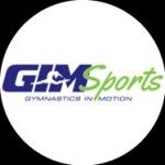 GIM Sports, Singapore, 徽标