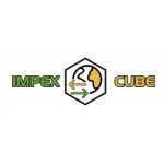 IMPEXCube, chennai, logo