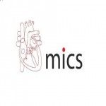 Micsheart, Bengaluru, logo