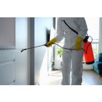 Preventive Pest Control Perth, Perth