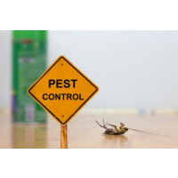 Preventive Pest Control Canberra, Canberra