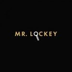 mr. lockey inc - locksmith austin, Austin, logo