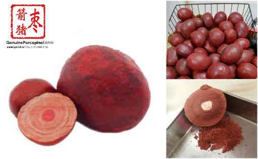 Porcupine Bezoar BTE Ginseng & Birdnest Pte. Ltd. Singapore Porcupine Bezoar