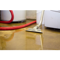 Pros Flood Damage Restoration Sydney, Sydney Pros Flood Damage Restoration Sydney, Sydney