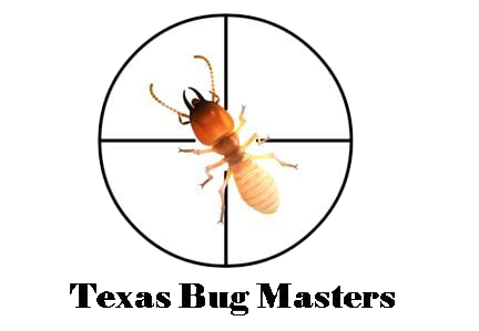 Texas Bug Masters, Beaumont, Texas