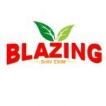 Blazing Shiv Exim, Jalgaon, logo