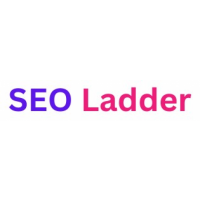 SEO Ladder, Rewa SEO Ladder, Rewa