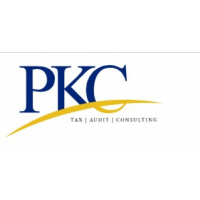 Financial Audit | Financial Audit Chennai - PKC Consulting, Chennai