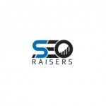 SEORAISERS - SEO Company in Chandigarh, SAS Nagar Mohali, logo