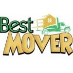 Best Movers | Movers and Packers in Dubai, Dubai, logo