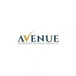 Avenue Professional Document Clearing, Dubai, logo