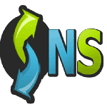 NetService Web Design, Redhill, logo