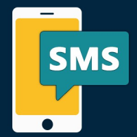 Bulk SMS Sender, Delhi