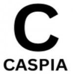 Caspia Research London's Premier Web Agency, London,, logo
