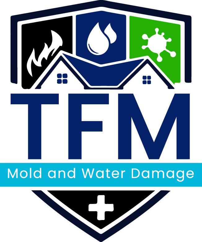 TFM MOLD AND WATER DAMAGE, Torrance