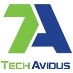 TechAvidus, West Haven, logo