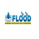 Flood Damage Restoration Kingston, Kingston, logo