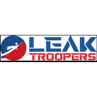 Leak Troopers, Hollywood