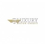 Luxury Motors Credit Inc, BRIDGEVIEW, logo