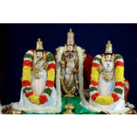 http://padmavathitravels.in - chennai to tirupati packages, Chennai http://padmavathitravels.in - chennai to tirupati packages, Chennai