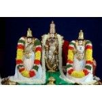 http://padmavathitravels.in - chennai to tirupati packages, Chennai, प्रतीक चिन्ह