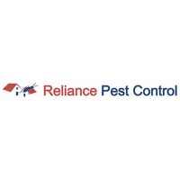 Mice Pest Control Brisbane, Brisbane Mice Pest Control Brisbane, Brisbane