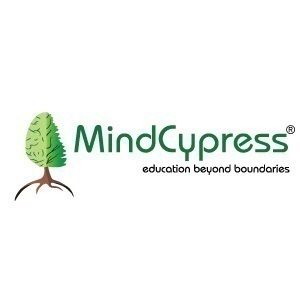 MindCypress, Pikesville MD